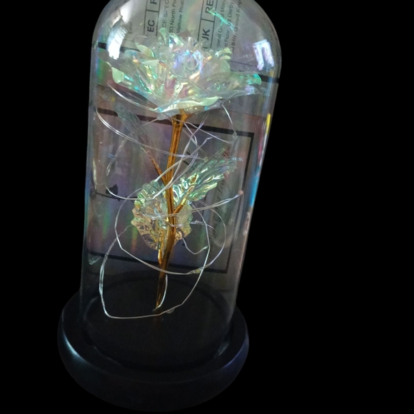 Elegant Glass Dome Roses (Mother's Day Gift Idea) - Picture 2 of 4